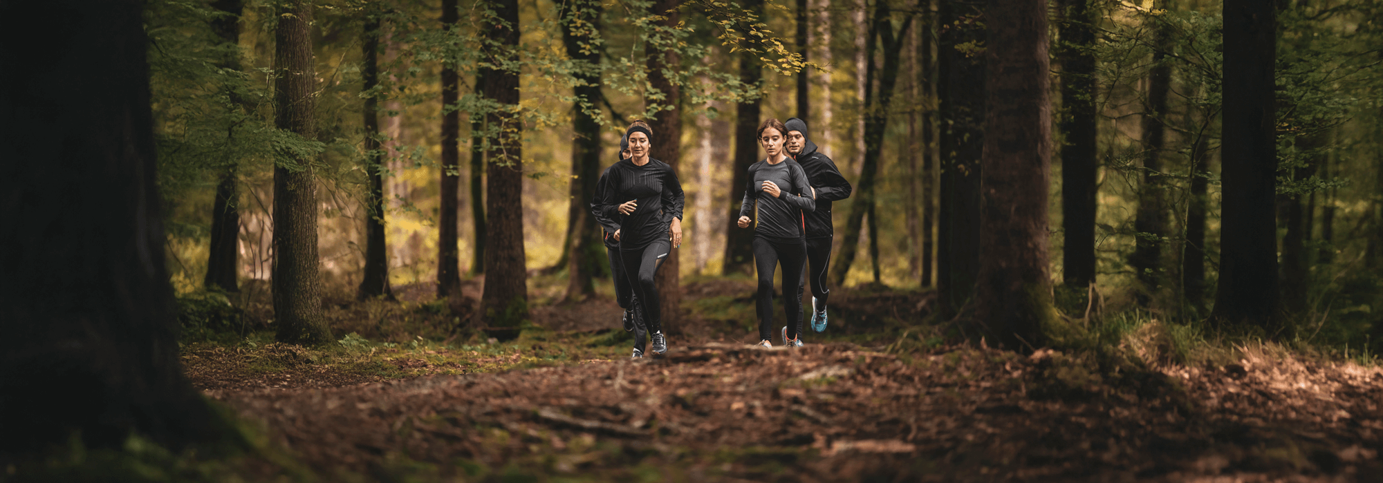 Three runners jogging through a forest trail surrounded by tall trees and soft natural light, showcasing Ulysses shoes in an outdoor performance context.